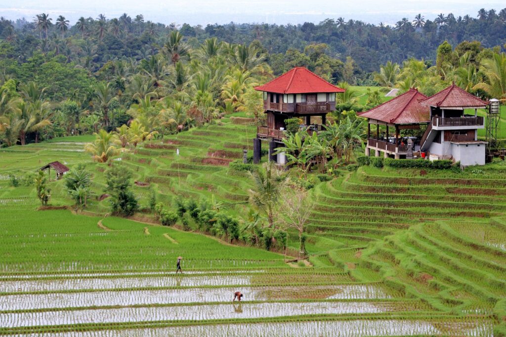 Jasa Perpajakan di Bali: Penghitungan Pajak Villa & Penginapan Profesional jasa konsultan pajak vila di bali